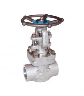 Válvula de compuerta forjada inox f316 ansi 800lbs npt – sw