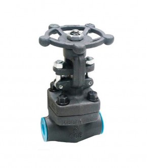 Válvula de compuerta forjada a. Carbono a-105 ansi 800lbs npt – bsp – sw