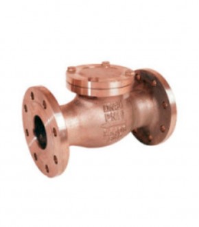 Válvula de retención de clapeta total inox Tecflow TF-SCVSS-F. PN-16